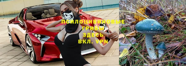 ALPHA PVP Абаза