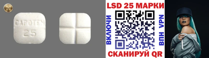 LSD-25 экстази ecstasy  hydra рабочий сайт  Александровск 